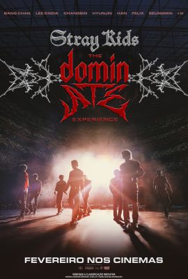 STRAY KIDS: THE DOMINATE EXPERIENCE