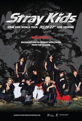 DIA 07/11 - STRAY KIDS WORLD TOUR 'RUN IT' LIVE VIEWING